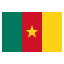Flag of Cameroon