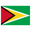 Flag of Guyana
